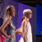 Intercoiffure, 2013-Hair by Vivienne Mackinder