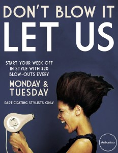 Antonino Salon $20 Blow-dry Monday and Tuesday Special